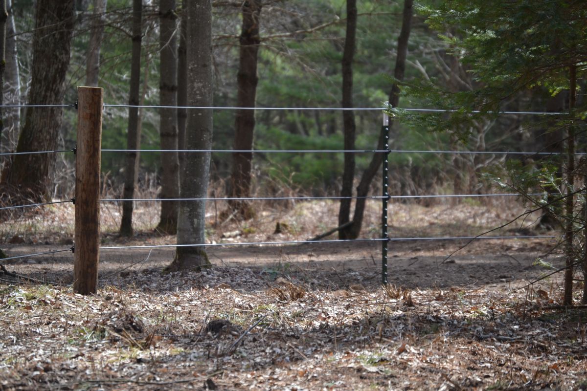 Cow and Equine Fencing in Wausau, WI