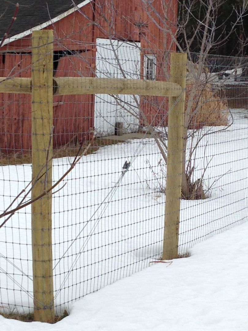 Equine Fences in Wausau, WI