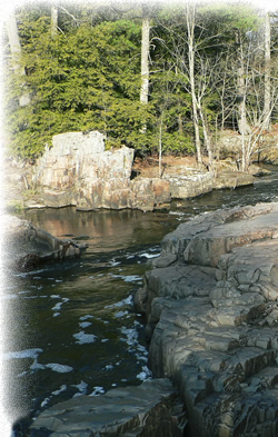 Services for Health Care Billing Specialists of Wausau Inc. serving Central Wisconsin 