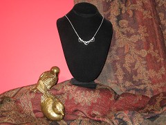 IMG_1082.jpg