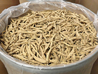 Bulk Ginseng Root