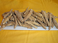 Wisconsin Ginseng Root Packaged Short Root