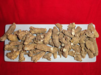 Wisconsin Ginseng Root Packaged Pearl Root