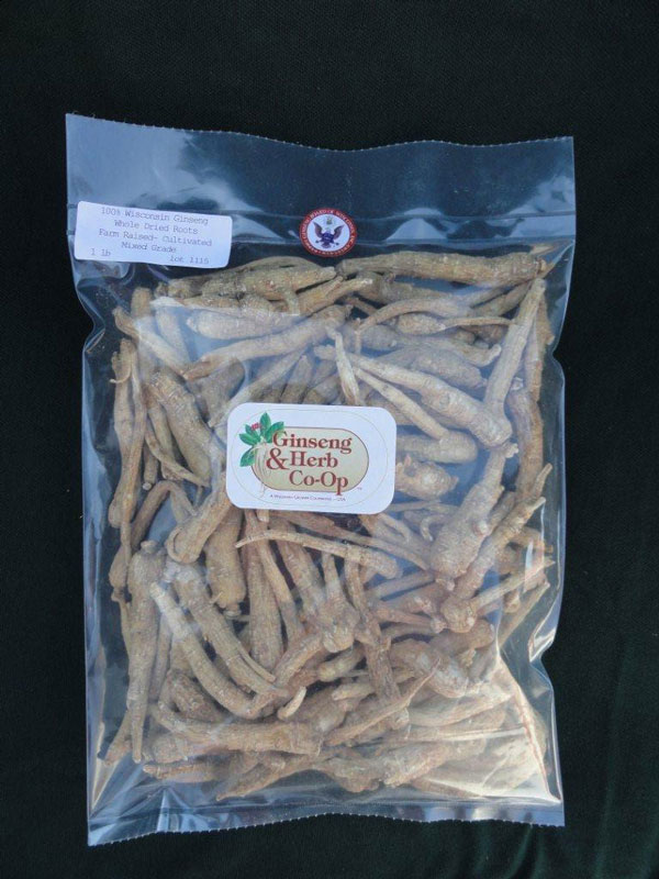 Buy Now! high quality Wisconsin ginseng in Minneapolis, MN