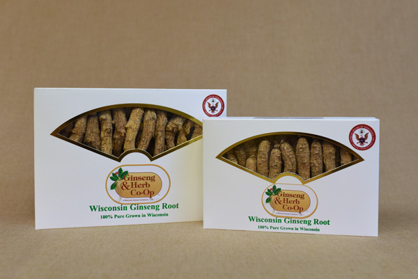 Buy Now! high quality Wisconsin Ginseng roots in Wausau, WI