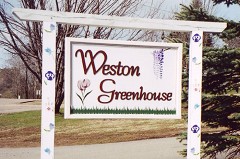 yardSigns.jpg