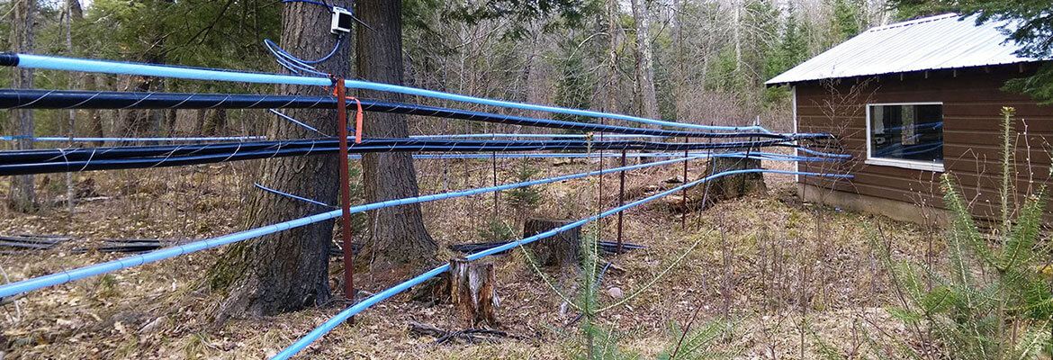 Maple Hollow, Maple Syrup, Maple Equipment, Merrill, WI.