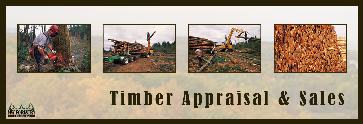 timber management and timber appraisals in Rhinelander, WI and Wausau, WI