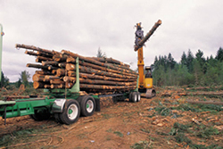 timber management and timber appraisals in Rhinelander, WI and Wausau, WI