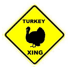Damage caused by Turkey near Wausau, WI