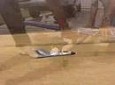 R/C Airplanes