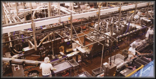 food processing and flexible packaging construction and electrical work