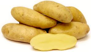 Fingerling Seed Potatoes in Antigo, WI
