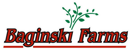 Certified Seed Potatoes for sale by Baginski Farms, Inc.