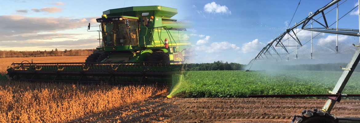 certified seed potatoes in Antigo, WI