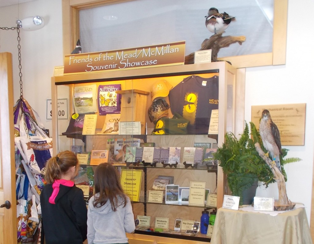 Souvenir Showcase