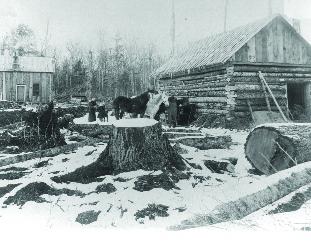 Loggers and Farmers at Mead Wildlife Area