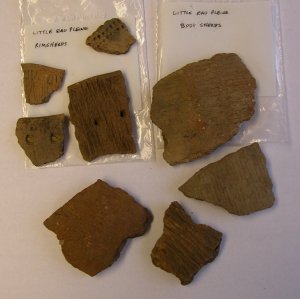 rimsherds and bodysherds