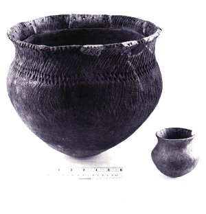 pottery sherds