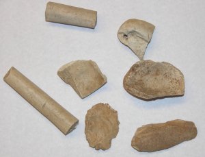 Clay pipe and bowl pieces