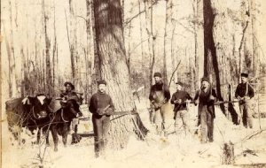 Logging crew from McMillan Camp 3 in what is now the McMillan Marsh unit of the Mead Wildlife Area.