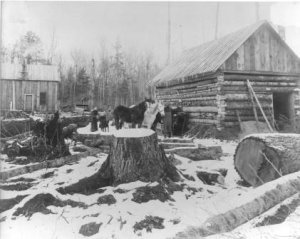 As lands were cleared, farmers, mostly German, homesteaded all but the low swamps in the valley.