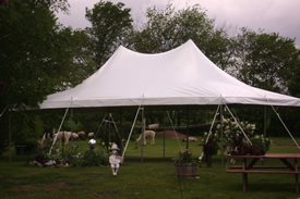 20' tent rental