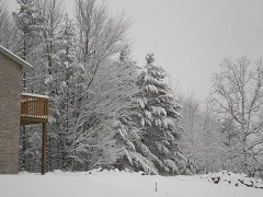 Nestled in a rolling hill with unparalleled wooded views ! ! !