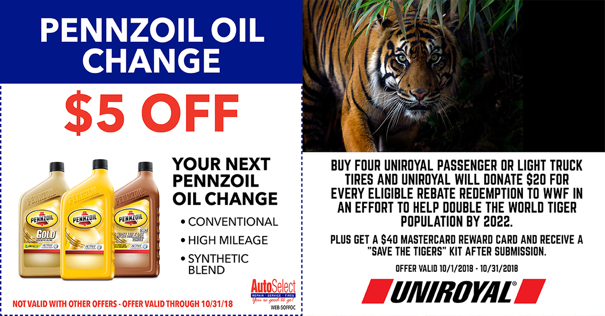   Automotive Coupons in Wausau