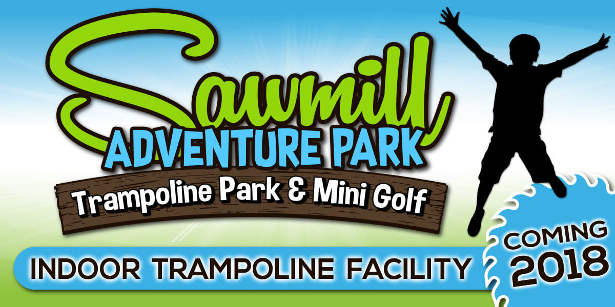 Trampoline Park & Mini Golf in Rothschild, WI Sawmill Adventure Park