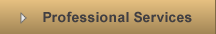 Professional Services