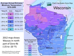 What this roller coaster winter is likely to do to our plants?