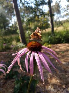 How to: Become a better naturalist