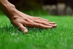 Lawn Care