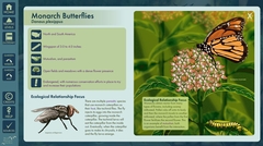 Ecological Relationships at Monk Botanical Gardens