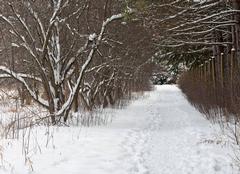 Gardens are a special place in the Winter
