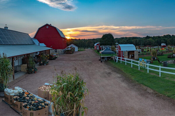 Fall Harvest on tHe Farm