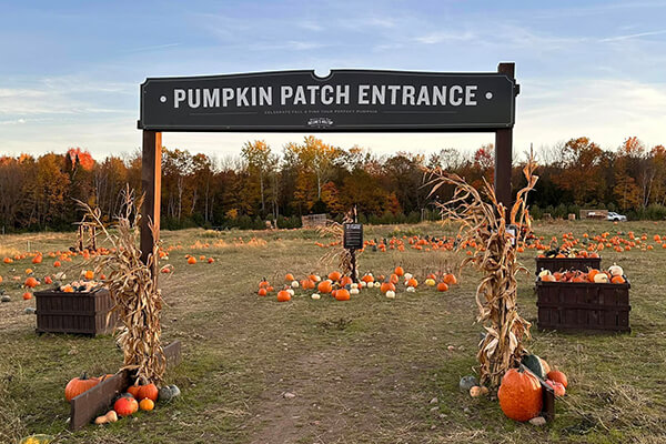 Pumpkin Patch Entrance