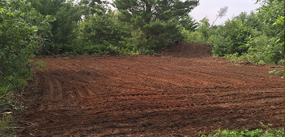 food plots, lined or unlined ponds and access trails
