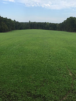 land management