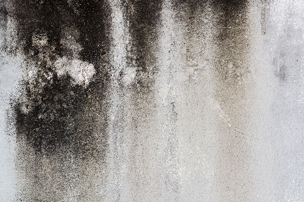 Mold Remediation In Virginia Mn