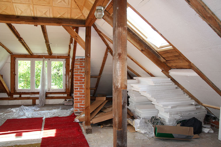 Animal and Wildlife Restoration Contractors