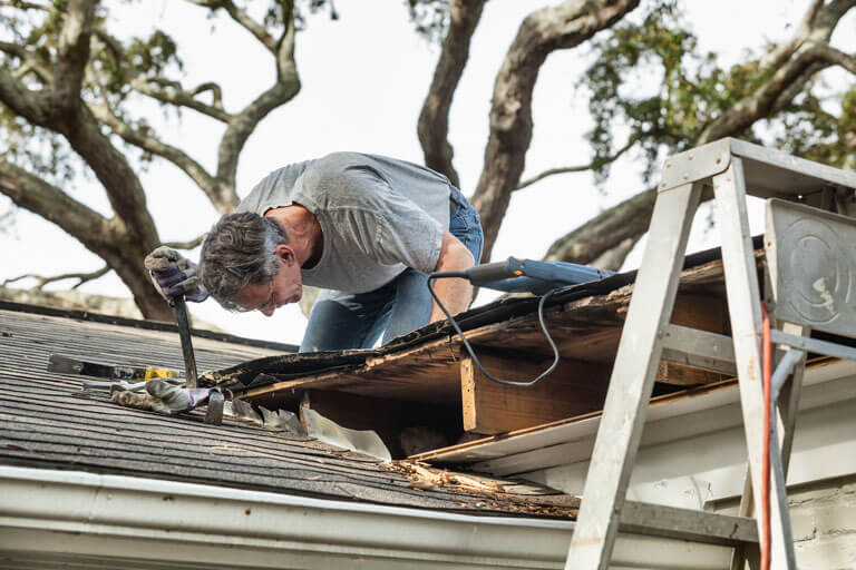 Wildlife Cleanup and Restoration Contractors