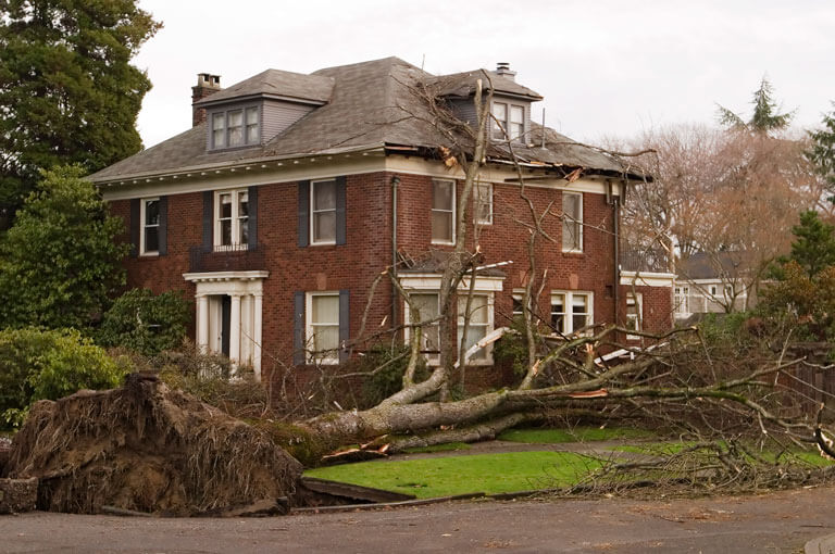 Storm Damage Restoration Contractors