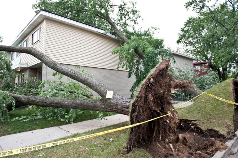 Wind Damage Restoration Contractors