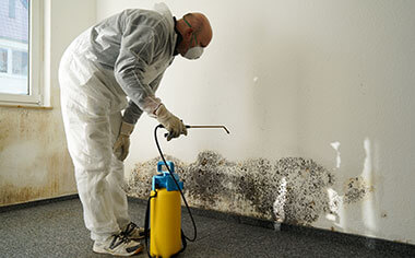 mold removal in Medford, WI