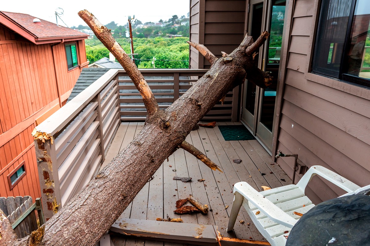 What Storm Damage Tree Removal Costs and Why Prices Vary