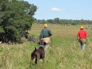 A84FC138-img_3775.jpg