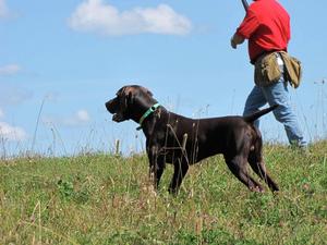 A84FE07E-img_3799.jpg