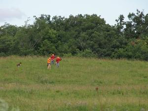 A850D43C-img_9280.jpg